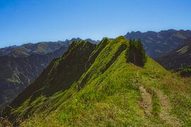 Fellhorn – Bergpfad entlang des Grats von Vos Photography