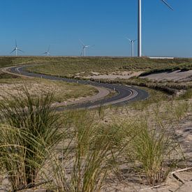 Windmühlen an der Maasvlakte von Pictures Palumbo