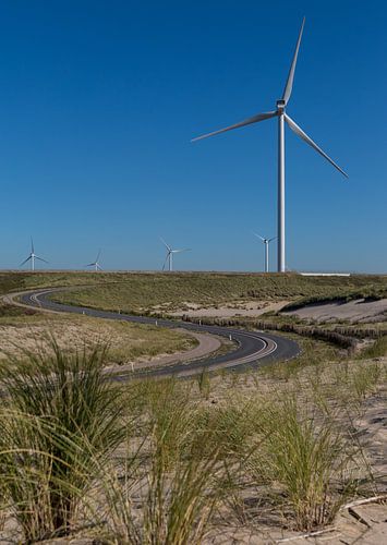 Windmolens aan de maasvlakte