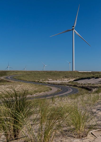 Windmühlen an der Maasvlakte von Pictures Palumbo