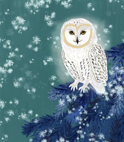 Owl in the Still Night