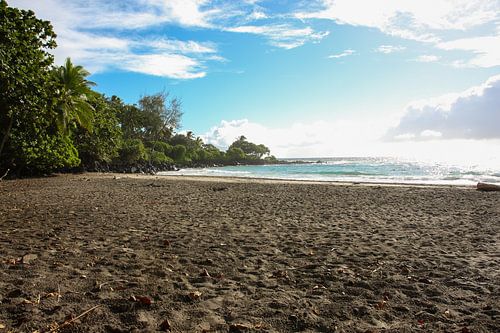 Belle plage tropicale