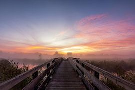 Dreamlike sunrise