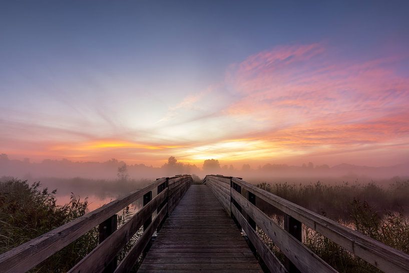 Dreamlike sunrise by Teresa Bauer