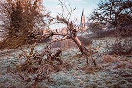 Alt-Obstgarten Vijlen von Rob Boon