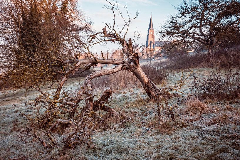 Old Orchard Vijlen by Rob Boon