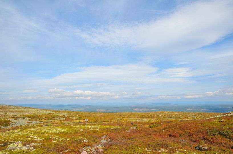 Parc national de Fulufjället par Karin Jähne