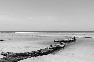 Bois flotté sur la plage sur Femke Ketelaar