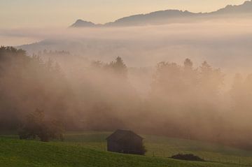 ALLGÄU