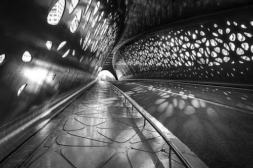 Parkbrücke Antwerpen