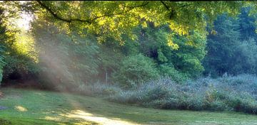 Rayons de soleil automnaux