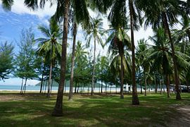 Tropisch plaatje von Bart Cornelis de Groot