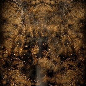 Glowing tree by Yanuschka | Fotografie Noordwijk