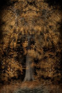 Arbre lumineux