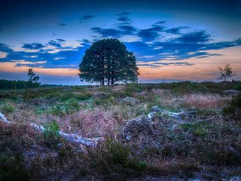 als de zon ondergaat