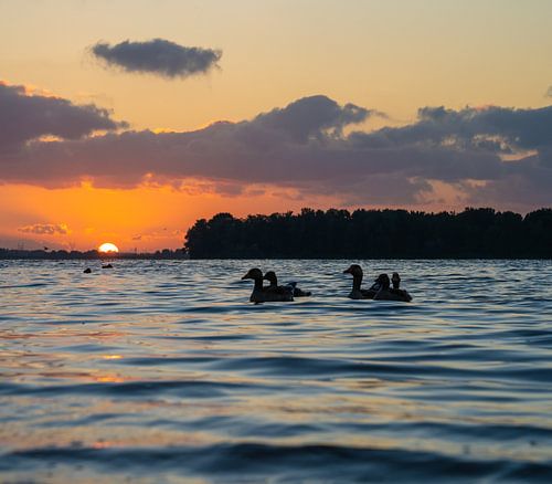 Sonnenuntergang am Veluwemeer von Saskia Kochheim