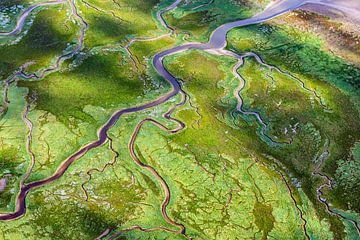 Aerial photo of salt marsh on Schiermonnikoog by Frans Lemmens