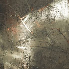 Botanische Studie 12 von Floortje Louise