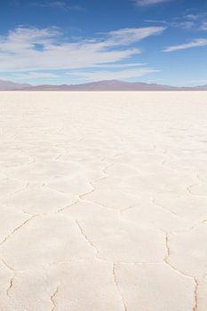 Salt Flats Salta