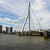 Erasmusbrug Rotterdam van Gertjan Hesselink