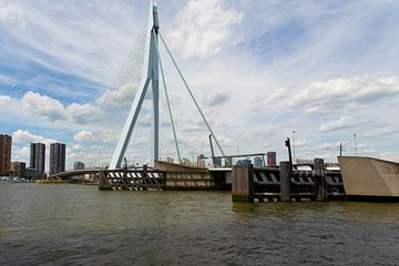 Erasmusbrug Rotterdam van Gertjan Hesselink