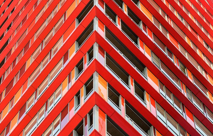 Lines by Peter van Hengstum