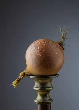 Onion on a pedestal by Clazien Boot