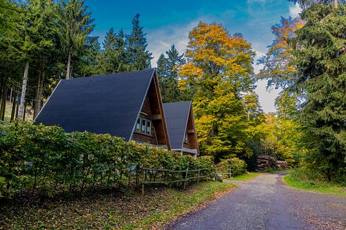 Herfstwandeling door het Thüringer Woud
