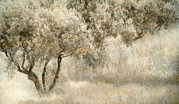 1721 Provence III - Remix