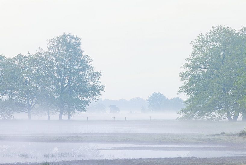 Sunrise Dwingelderveld (Netherlands) by Marcel Kerdijk
