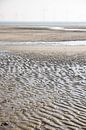 Landscape with sea, beach and windmills by Simone Janssen thumbnail