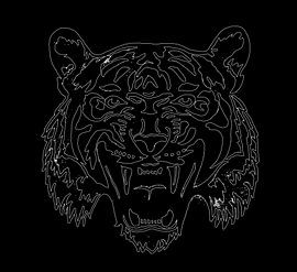 Tiger ( Zeichnung ) digital bearbeitet