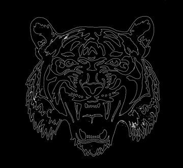Tiger ( Zeichnung ) digital bearbeitet von Jose Lok