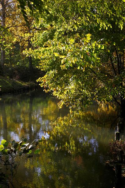 Spreewald von Thomas Jäger
