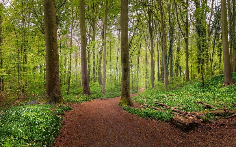 Profitez de la nature par Wim van D