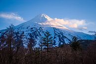 Volcan Lanin van Eriks Photoshop by Erik Heuver thumbnail