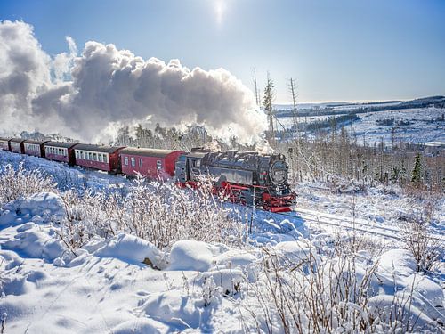 Die Brockenbahn bei Schierke im Oberharz