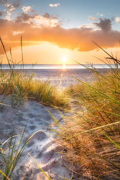 Sunrise on the beach of the Baltic Sea.