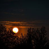 Kyran Vermeir profielfoto