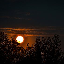 Kyran Vermeir profielfoto