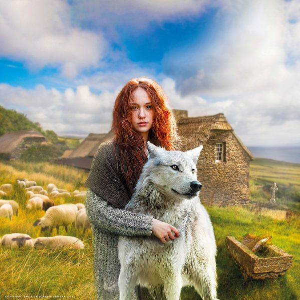 LOVE IRELAND von Uwe Frischmuth