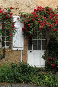WILLKOMMEN und BIENENVENUE