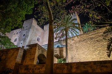 Koninklijk Paleis La Almudaina en Catedral de Santa María de Mallorca in Palma de Mallorca van t.ART