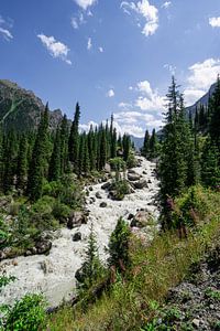 Wasserfall in den Bergen von Karakol von Mickéle Godderis