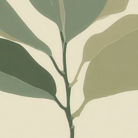 Minimalist plant in soft green tones by But First Framing