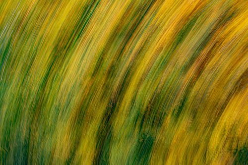 Regenboog van herfstbladeren (ICM, abstract)