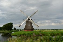 Schrumpfmühle von Heidi de Vries