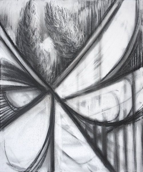 secrets-revealed-s001-1__2009 van Hans Zantman