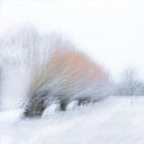 Winter  wilgen (bomen) van Ingrid Van Damme fotografie thumbnail