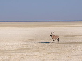 Alleine auf der Welt